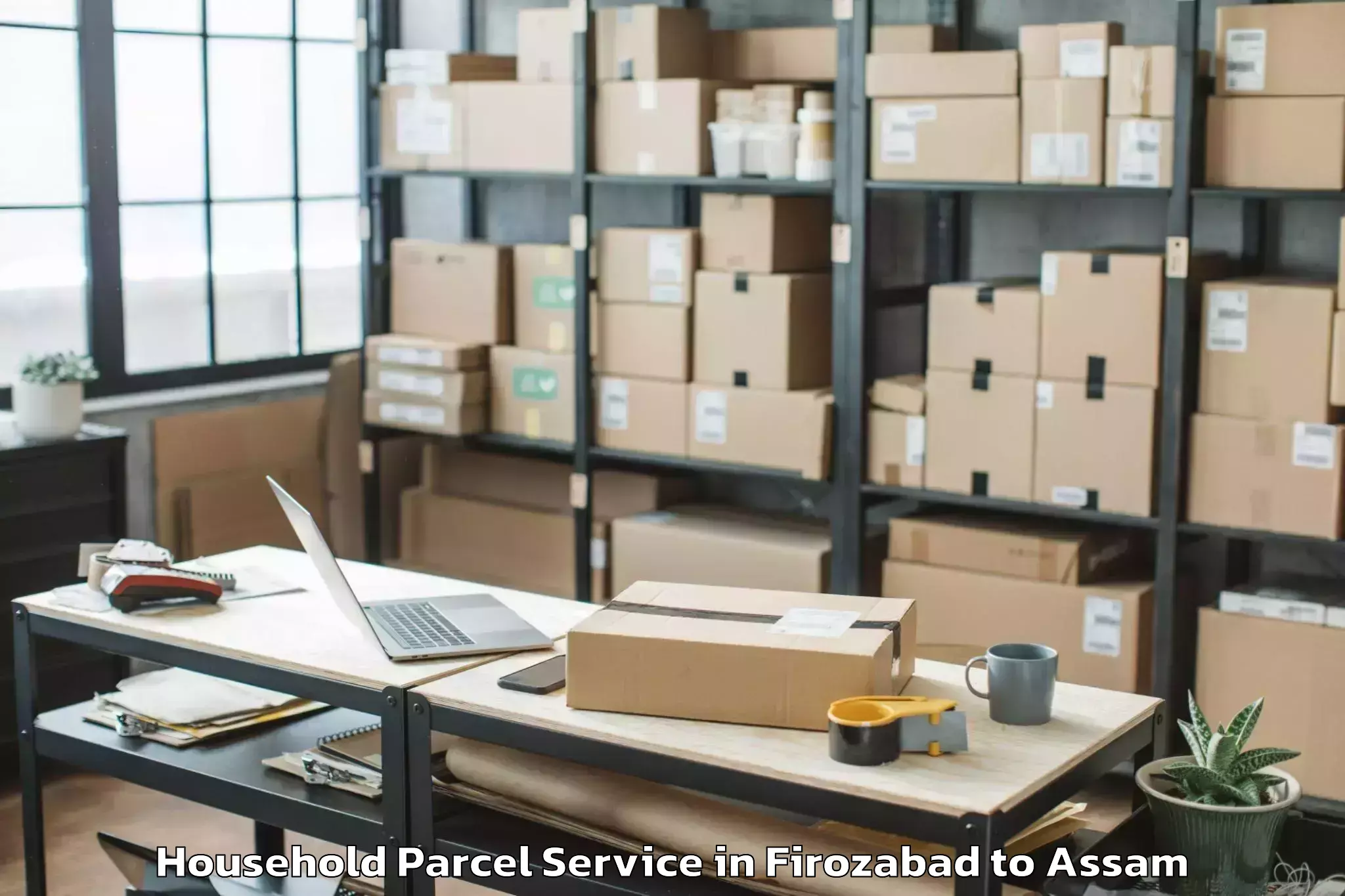 Easy Firozabad to Sonabarighat Household Parcel Booking